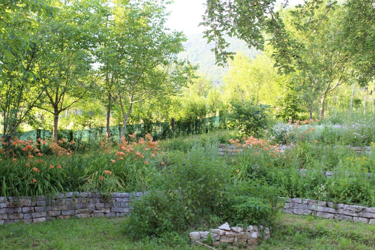 Atlantis Home Kulen Vakuf Dış mekan fotoğraf