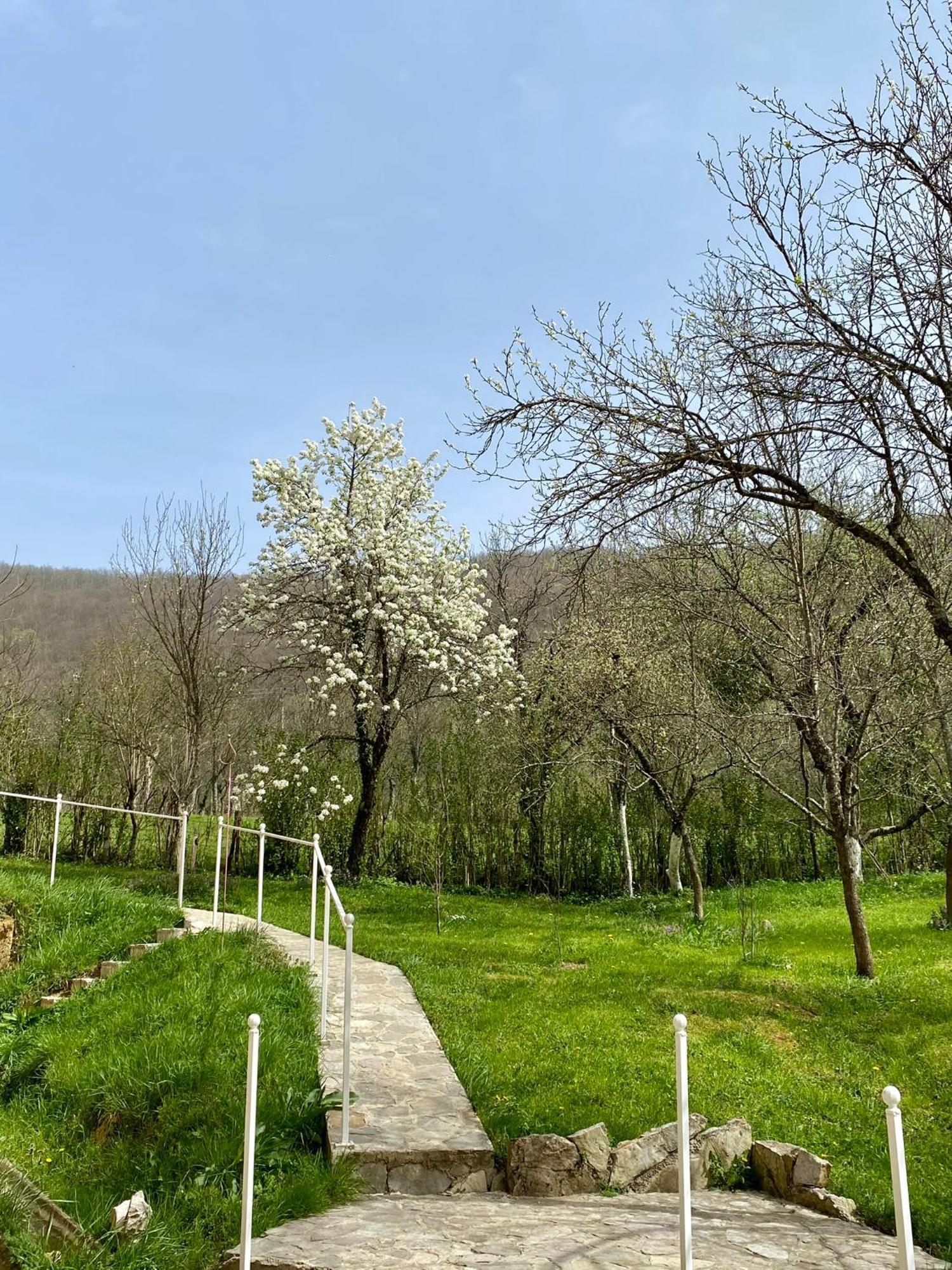 Atlantis Home Kulen Vakuf Dış mekan fotoğraf