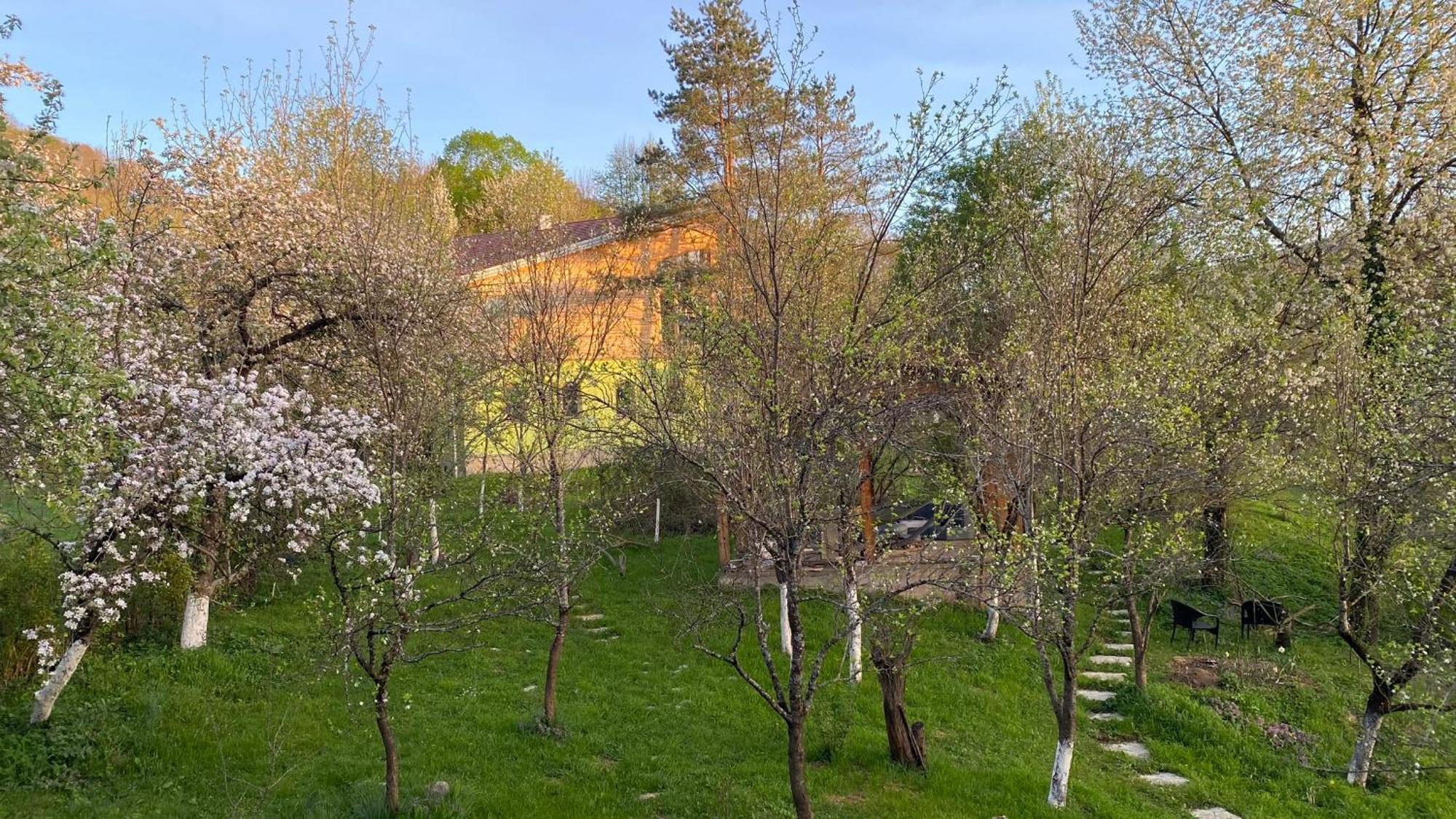Atlantis Home Kulen Vakuf Dış mekan fotoğraf